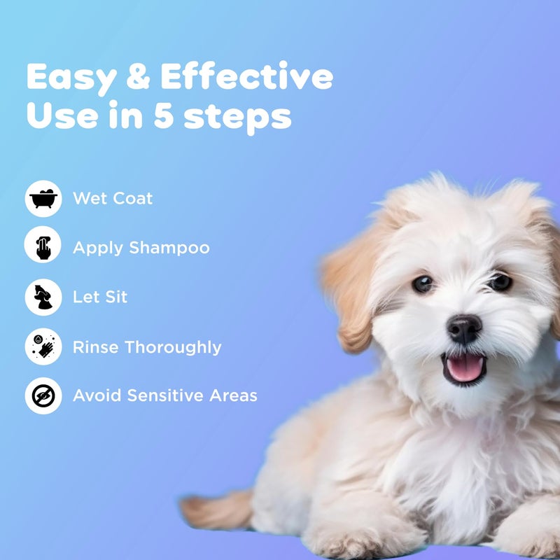 Pil Tick & Flea Ultra Medicated Dog Shampoo with Hydrolyzed Wheat Protein | Kills Ticks & Fleas | Prevents Skin Infections | Soothes and Deodorizes Skin Coat (200ml) - Image 5