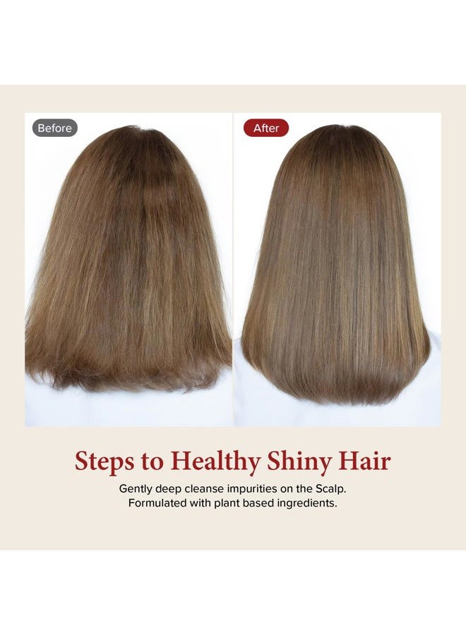 Kundal BLACKBERRY BAY Sulfate Free Moisturizing Shampoo for Dry Damaged Hair with Argan Oil, 16.9 oz(500ml), Sulfate Free Paraben Free - Image 5