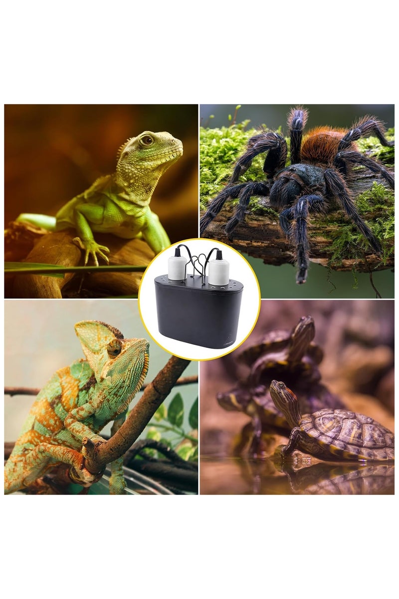 Reptile Heat Lamp, Max 200w Dual Deep Dome Heat Lamp for Reptiles, with Separate Switches for Reptile Terrarium and Tortoise Habitat, UK Plug (Bulb Not Included) - Image 5