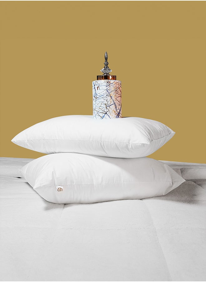 Luxurious Double Face Hotel Pillow Cotton and Polyester