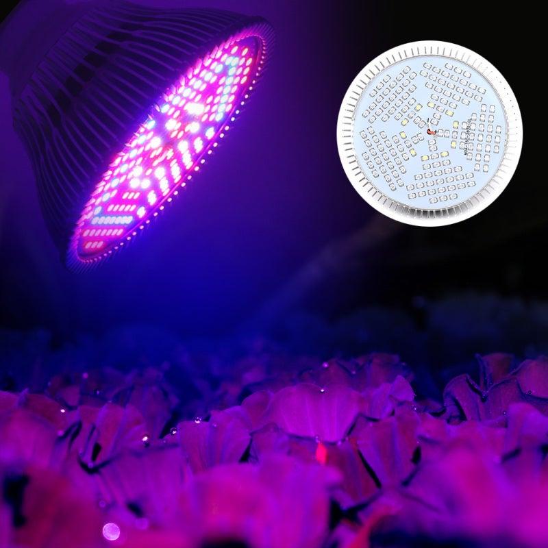 مصباح LED كامل الطيف للزراعة المائية، قاعدة E27، 100 واط، 150 مصباح LED، موفر للطاقة، بإضاءة لطيفة، مثالي للأعشاب والنباتات العصارية والنباتات الداخلية. - Image 3