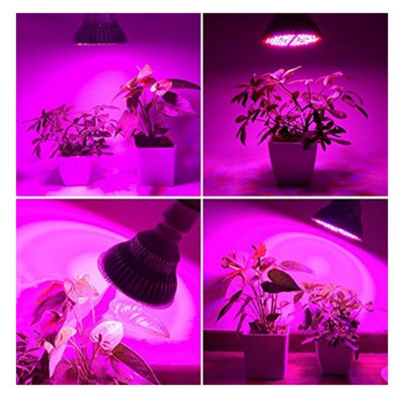 مصباح LED كامل الطيف للزراعة المائية، قاعدة E27، 100 واط، 150 مصباح LED، موفر للطاقة، بإضاءة لطيفة، مثالي للأعشاب والنباتات العصارية والنباتات الداخلية. - Image 2