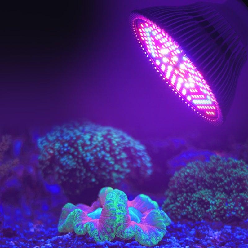 مصباح LED كامل الطيف للزراعة المائية، قاعدة E27، 100 واط، 150 مصباح LED، موفر للطاقة، بإضاءة لطيفة، مثالي للأعشاب والنباتات العصارية والنباتات الداخلية. - Image 4