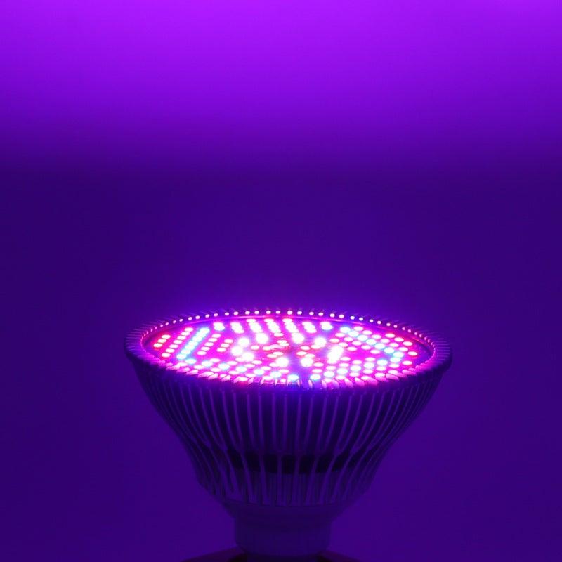 مصباح LED كامل الطيف للزراعة المائية، قاعدة E27، 100 واط، 150 مصباح LED، موفر للطاقة، بإضاءة لطيفة، مثالي للأعشاب والنباتات العصارية والنباتات الداخلية. - Image 5