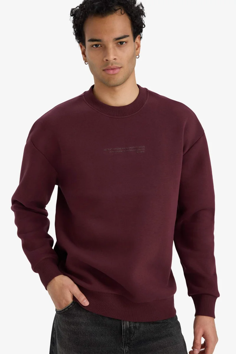 ديفاكتو Boxy Fit Printed Long Sleeve Sweatshirt