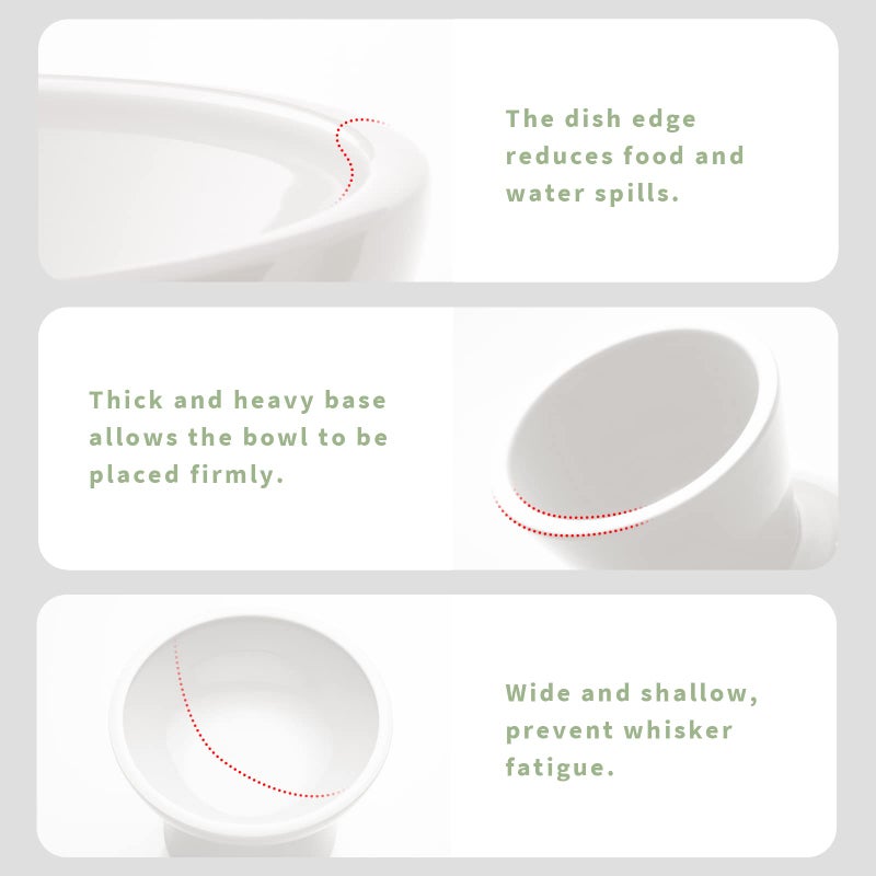 CEEFU Extra Wide Elevated Ceramic Cat Bowl, 6.2" Shallow Dish for Whisker Fatigue Relief, 5" Height for Easy Feeding, Durable Raised Cat Food Bowls, Pack of 2, White - Image 4