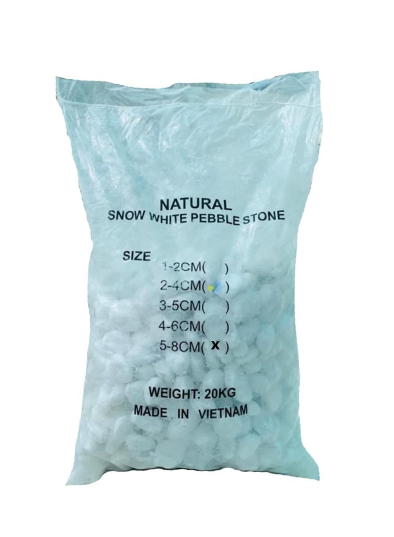UNITED ARAB EMIRATES Snow White 5-8 cm Decorative Pebbles Natural Decorative Rocks for Garden Plants Succulents Vase Aquariums Landscape River Stones Outdoor | 20 kgs.