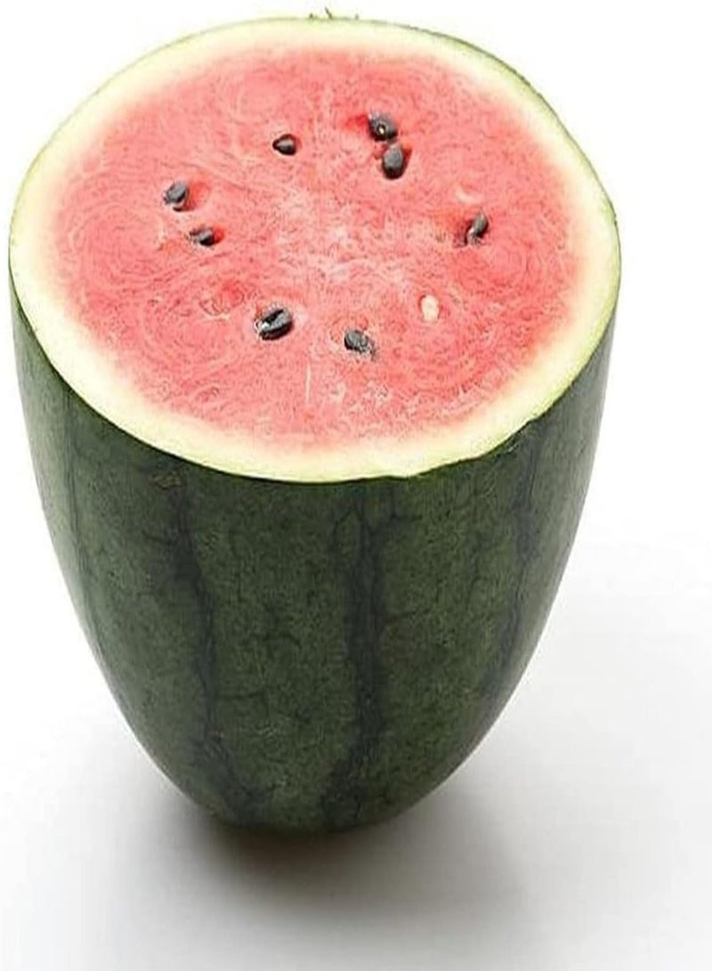 جي جوت 50 قطعة من بذور البطيخ تجربة البستنة العائلية متعة الزراعة ضرورية تنوع الفاكهة غزير الإنتاج حلو الحياة الشعبية تأثير بيئي جيد فاكهة غنية بالعصير لتستمتع بها الأسرة - Image 2