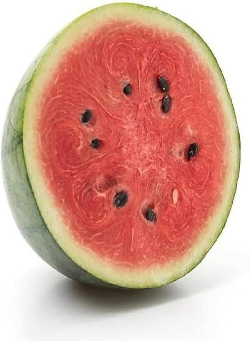 جي جوت 50 قطعة من بذور البطيخ تجربة البستنة العائلية متعة الزراعة ضرورية تنوع الفاكهة غزير الإنتاج حلو الحياة الشعبية تأثير بيئي جيد فاكهة غنية بالعصير لتستمتع بها الأسرة - Image 3