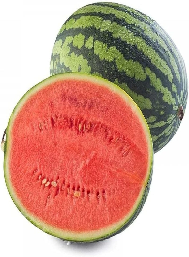 جي جوت 50 قطعة من بذور البطيخ تجربة البستنة العائلية متعة الزراعة ضرورية تنوع الفاكهة غزير الإنتاج حلو الحياة الشعبية تأثير بيئي جيد فاكهة غنية بالعصير لتستمتع بها الأسرة - Image 1