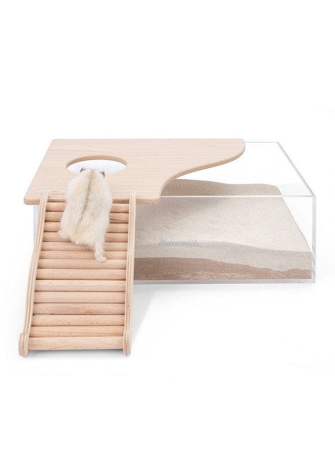 نيتينجيل لعبة تسلق الهامستر من نايت انجيل - جسر خشبي للهامستر والجربوع والفئران والحيوانات الصغيرة (صغير - 6.3 بوصة طول) - Image 3