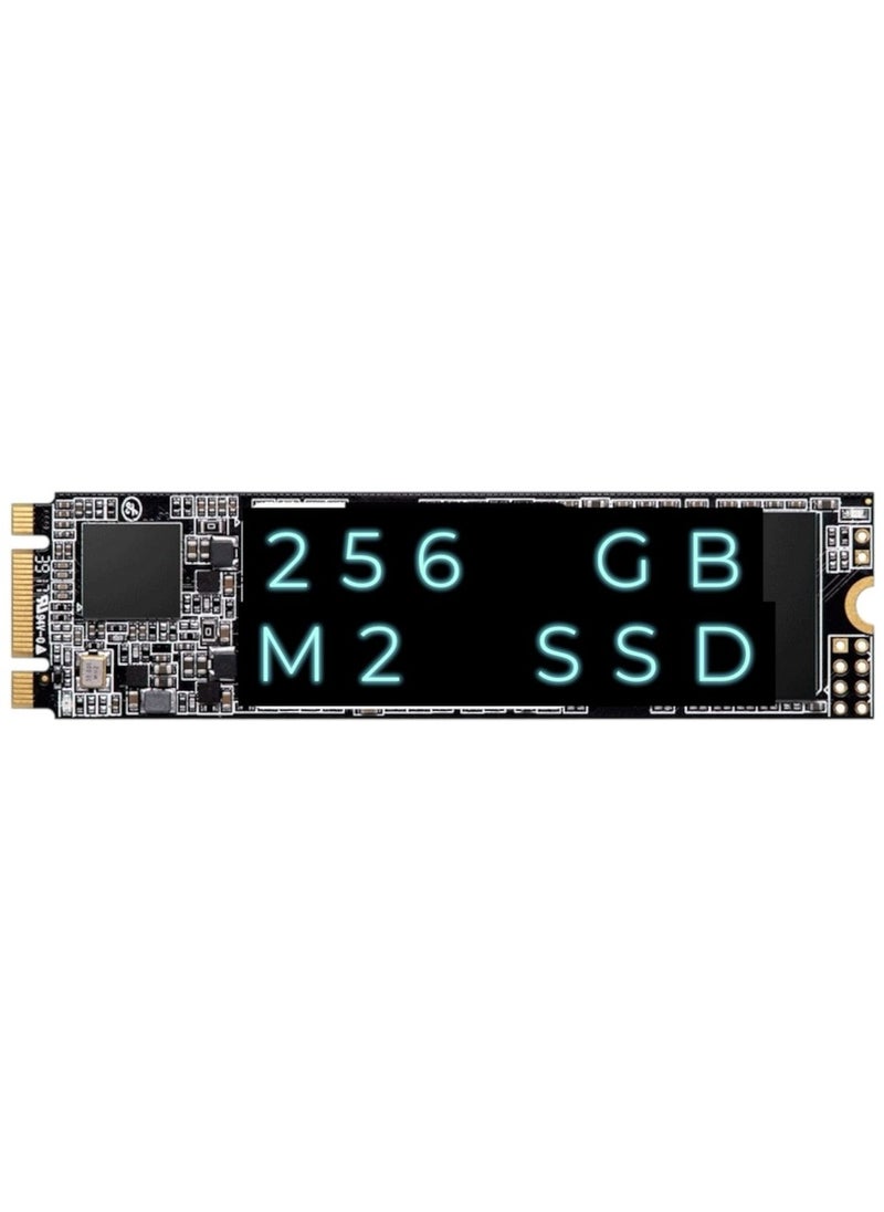Generic - M.2 Internal SSD 256GB Storage - High Speed, Ultra Slim Design - Ideal for Laptops - Image 1