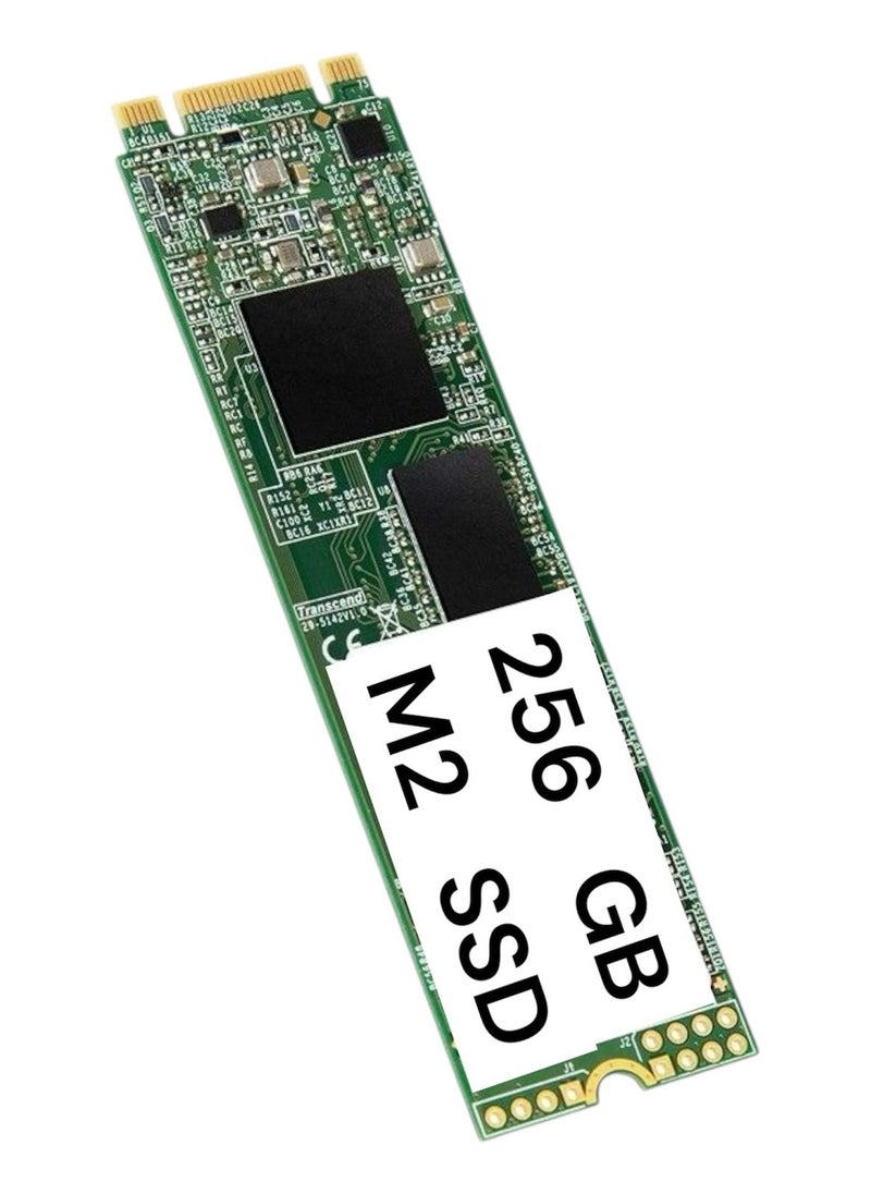 Generic - M.2 Internal SSD 256GB Storage - High Speed, Ultra Slim Design - Ideal for Laptops - Image 1