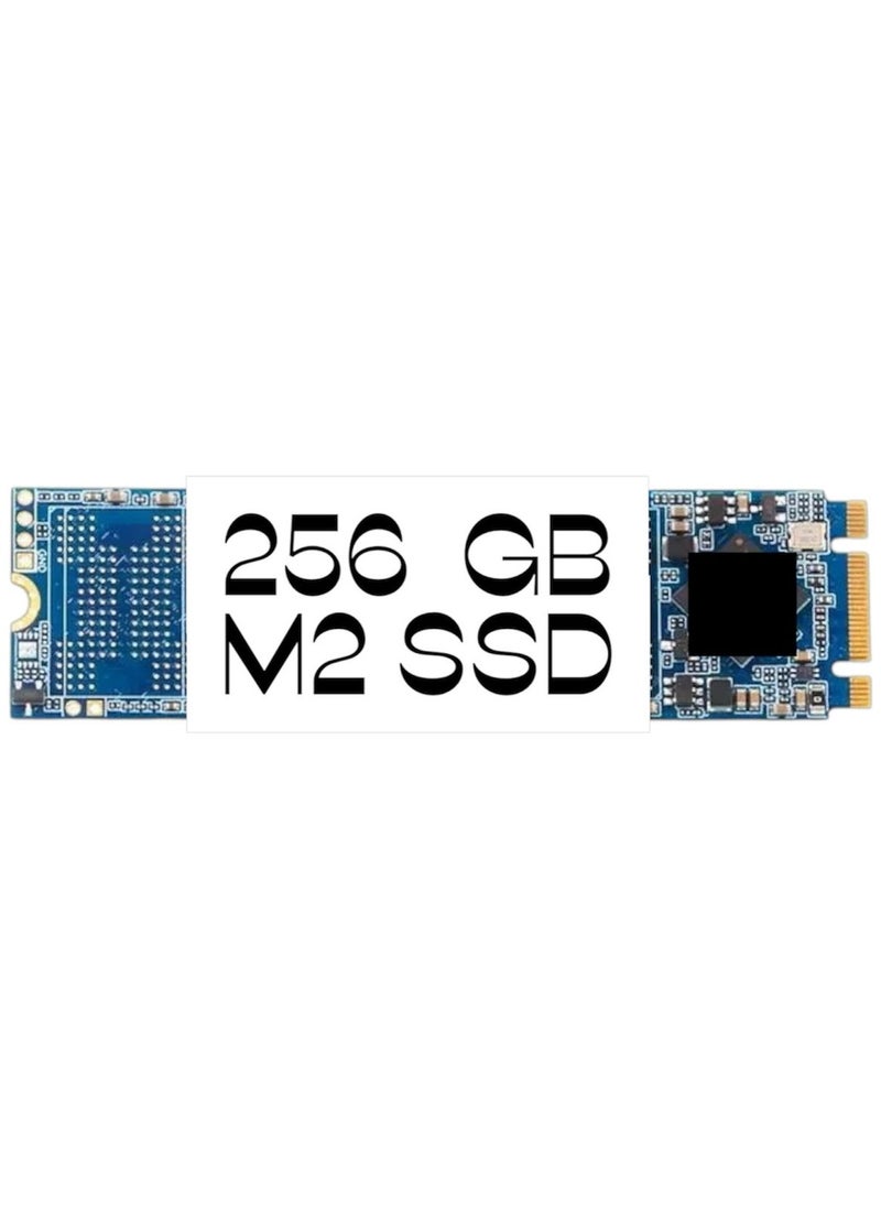 Generic - M.2 Internal SSD 256GB Storage - High Speed, Ultra Slim Design - Ideal for Laptops - Image 1