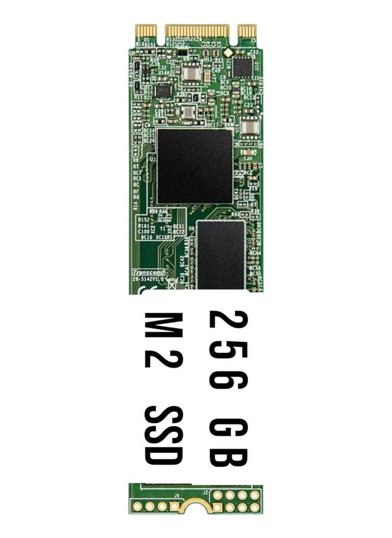 Generic - M.2 Internal SSD 256GB Storage - High Speed, Ultra Slim Design - Ideal for Laptops - Image 1