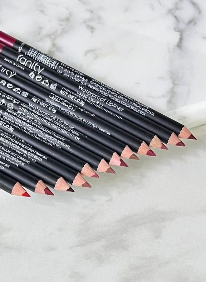 فانيتي محددات شفاه ثابته 12 لون ماركه فنتي بيوتي - Image 2