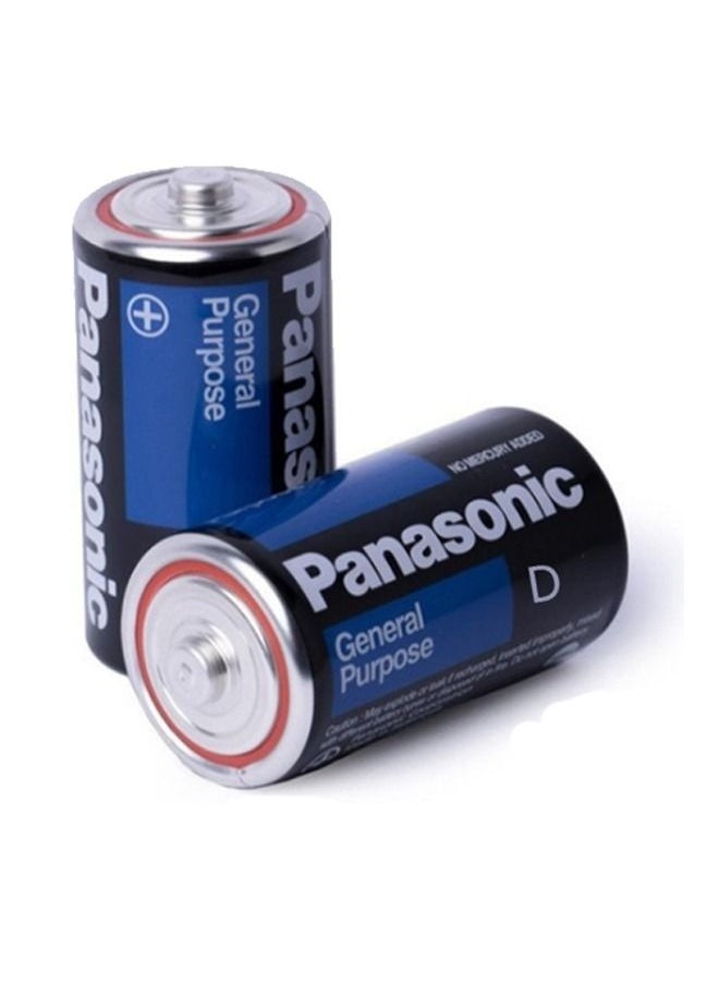 Panasonic 2 Pieces General Purpose D Batteries 