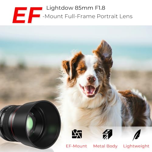 Lightdow EF 85mm f1.8 Portrait Lens - MF for Canon EOS Rebel T8i/T7i/T7/T6i/T5/T3i/T3/T2i/XSi/XS/SL3/SL2/T100/90D/80D/70D/50D/5D Mark IV/6D II/7D II/1D X III II-Manual Focus DSLR Cameras Lenses(EF/EF-S Mount) - Image 2