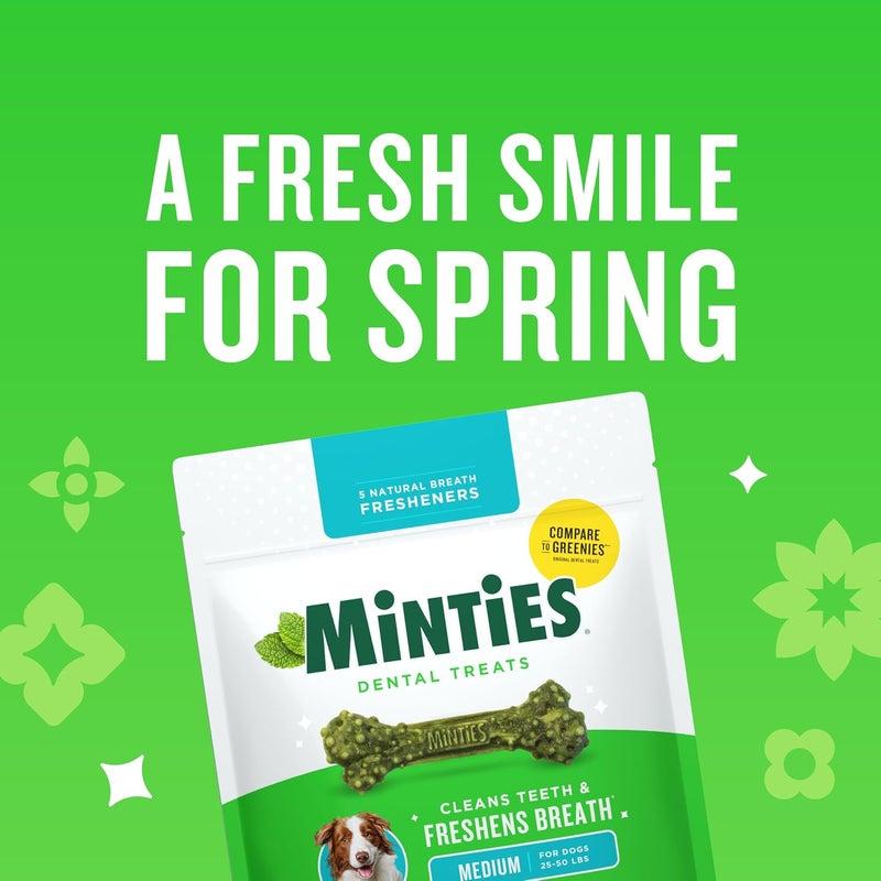 Minties Dental Chews for Dogs, 20 Count, Vet-Recommended Mint-Flavored Dental Treats for Medium Dogs 25-50 lbs, Dental Bones Clean Teeth, Fight Bad Breath, and Removes Plaque and Tartar - Image 2