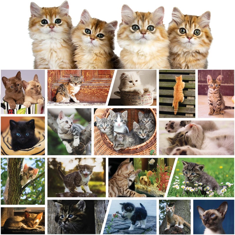 Better Me Cute Kittens 500-Piece Jigsaw Puzzle - Cat Lover Collage with Black Cats, Tabbies, Siamese & More, Fun Puzzle for Adults & Kids (500 Pieces) - Image 1