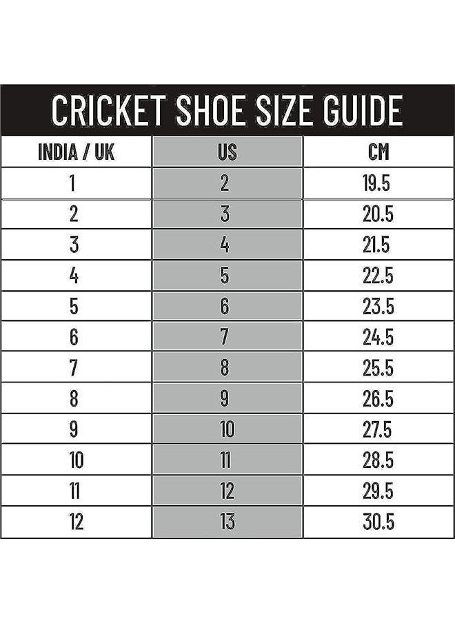 DSC Zooter Cricket Shoe for Men and Boys, Size-7 UK (White-Blue)  - Image 2