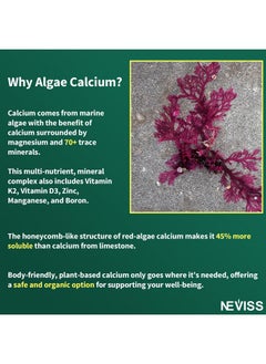 NEVISS Algae Calcium Gummies 600mg with Vitamin D3, C, Magnesium, Boron, Manganese, Plant-Based Calcium Supplement for Bone Health & Strength, Minerals Complex, Gentle Digestion, Sugar Free, Vegan, 60 Counts  - Image 5
