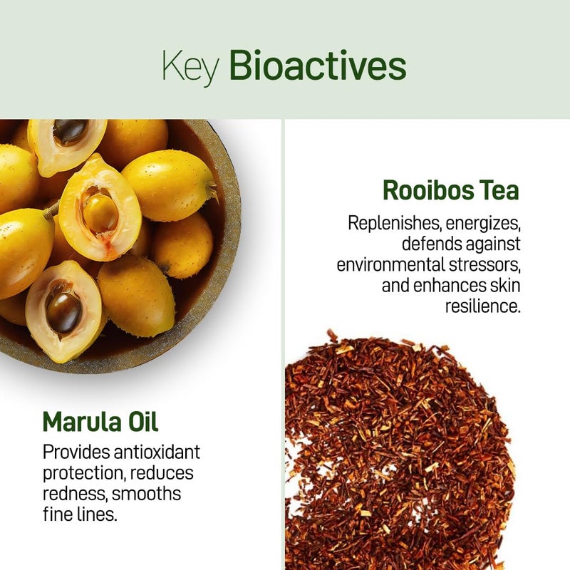 Refresh Botanicals Hydrating Facial Wash for Men | Gentle Daily Face Wash for All Skin Types | Facial Cleanser Infused with Marula Oil & Rooibos Tea | Soft, Smooth & Hydrating Skin Whole Day | 3.38 Oz - Image 3