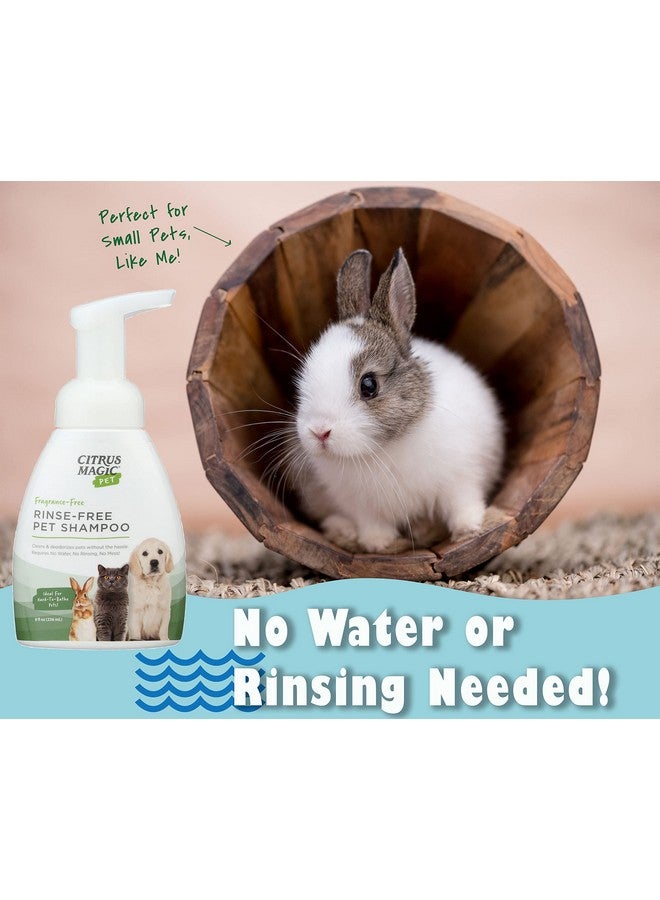 سيتريس ماجيك شامبو سيتروس ماجيك للحيوانات الأليفة بدون شطف، 8 أونصة سائلة، عبوة من قطعتين - Image 5
