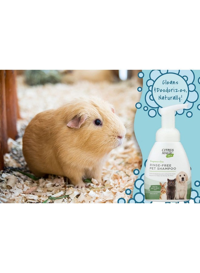 سيتريس ماجيك شامبو سيتروس ماجيك للحيوانات الأليفة بدون شطف، 8 أونصة سائلة، عبوة من قطعتين - Image 4
