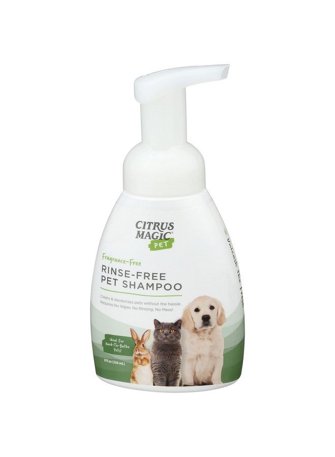 سيتريس ماجيك شامبو سيتروس ماجيك للحيوانات الأليفة بدون شطف، 8 أونصة سائلة، عبوة من قطعتين - Image 2