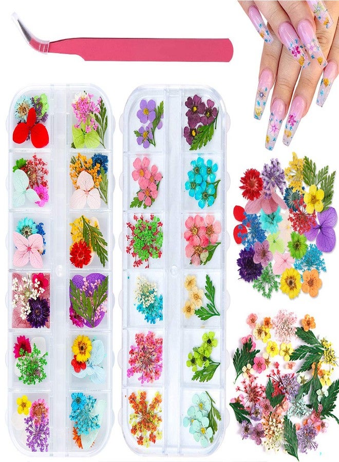 Kissbuty 2 Boxes Dried Flowers for Nail Art, KISSBUTY 24 Colors Dry Flowers Mini Real Natural Flowers Nail Art Supplies 3D Applique Nail Decoration Sticker for Tips Manicure Decor (Daffodil Hydrangea Leaf) - Image 1