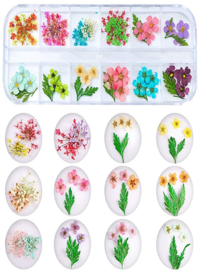 Kissbuty 2 Boxes Dried Flowers for Nail Art, KISSBUTY 24 Colors Dry Flowers Mini Real Natural Flowers Nail Art Supplies 3D Applique Nail Decoration Sticker for Tips Manicure Decor (Daffodil Hydrangea Leaf) - Image 2