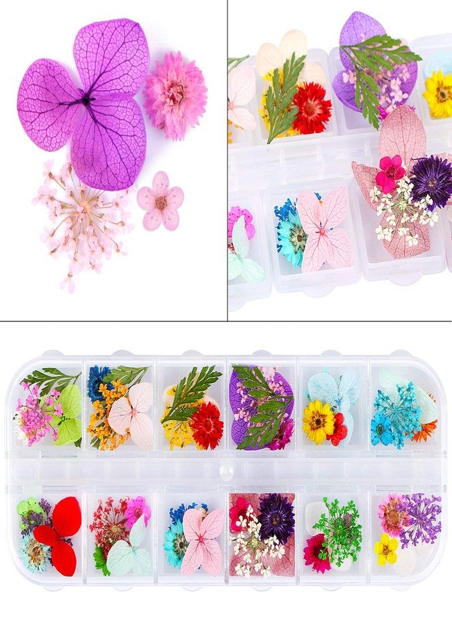 Kissbuty 2 Boxes Dried Flowers for Nail Art, KISSBUTY 24 Colors Dry Flowers Mini Real Natural Flowers Nail Art Supplies 3D Applique Nail Decoration Sticker for Tips Manicure Decor (Daffodil Hydrangea Leaf) - Image 5