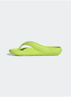 Adicane Flip-Flops - pzsku/ZA3DFFA61F00DD1837FD2Z/45/_/1716118093/8bcca868-0524-44ef-a5a2-684ccbe2808c