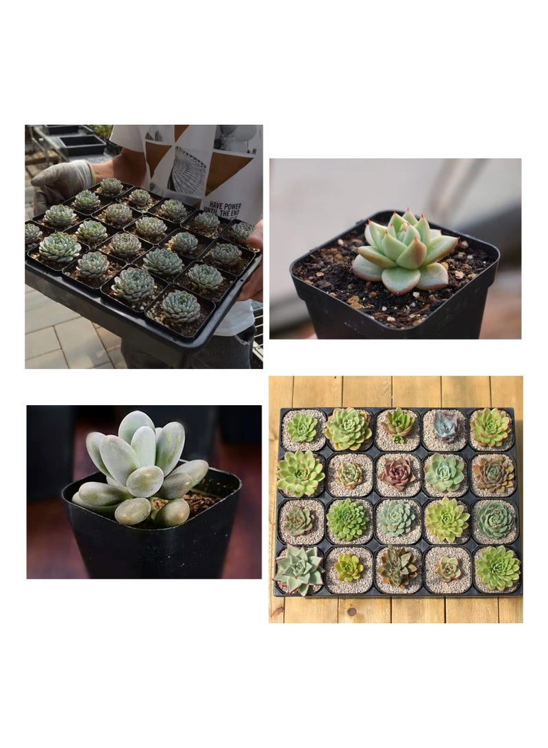 SYOSI 20pcs Seed Starting Pots, 7cm Plastic Nursery Pots Square Plant Pots Fruit Plant Pots Flower Plant Containers Seedling Containers Cutting Transplant Pots Gardening Supplies for Fruit Vegetable Plant - Image 5