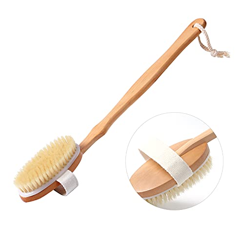 Clothclose Shower Brush - Body Exfoliating Brush with Soft and Natural Bristle, Back Scrubber for Wet or Dry Brushing, Detachable Long Wooden Handle Body Brush for Men and Women - Image 1
