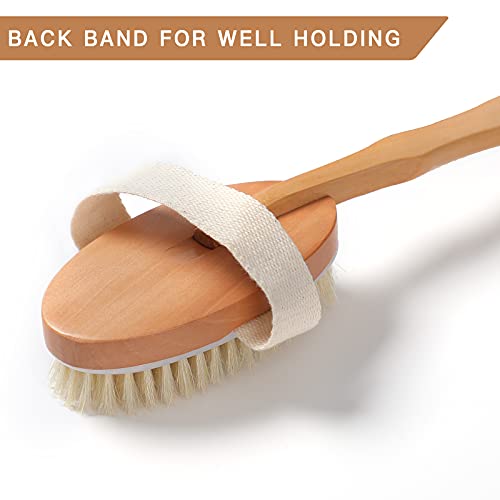 Clothclose Shower Brush - Body Exfoliating Brush with Soft and Natural Bristle, Back Scrubber for Wet or Dry Brushing, Detachable Long Wooden Handle Body Brush for Men and Women - Image 5