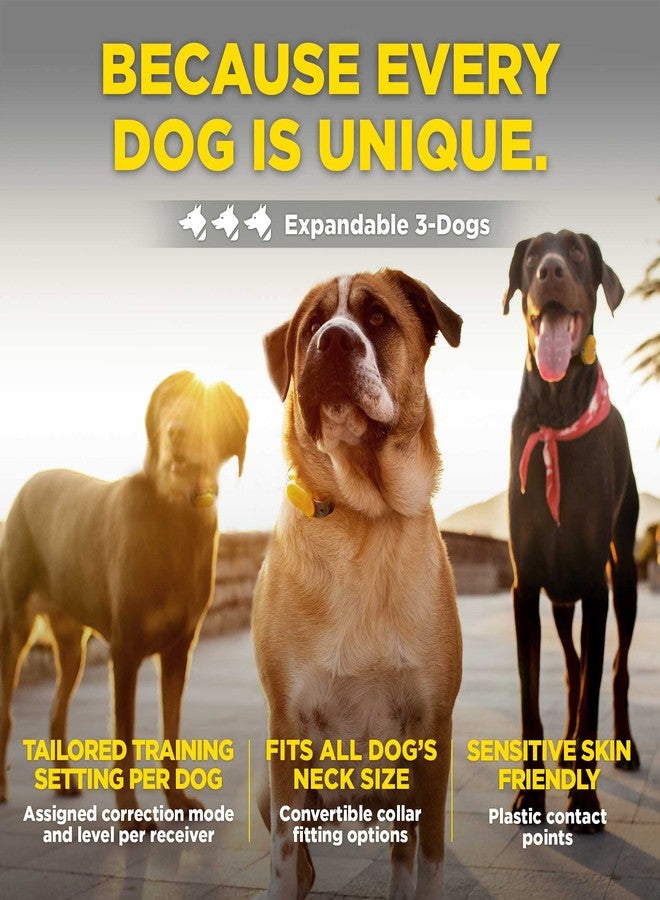 Dogtra CUE Add On Yellow Ecollar with Safety Level Lock Boost Vibration Waterproof Rechargeable for Small Medium Large Dogs Dog Training Collar by Dogtra - Image 5