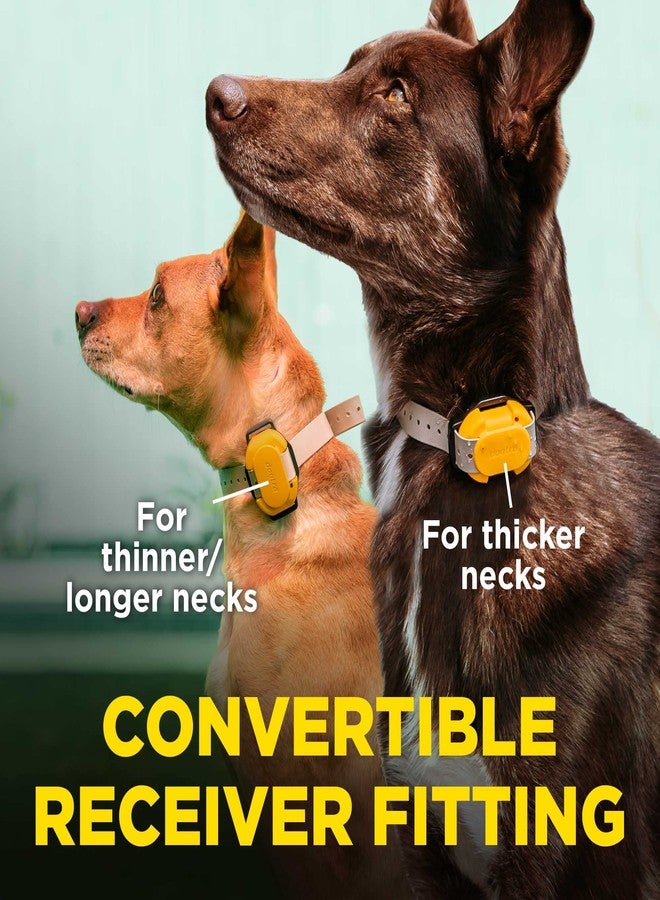 Dogtra CUE Add On Yellow Ecollar with Safety Level Lock Boost Vibration Waterproof Rechargeable for Small Medium Large Dogs Dog Training Collar by Dogtra - Image 4