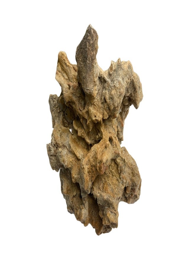 RUKDA® Natural Coral-Shaped Limestone Rock for Aquarium & Terrarium | pH Buffering Calcium Carbonate Stone | Ideal for Cichlids, Clownfish, Gobies & Reef Aquascape (Medium) - Image 1