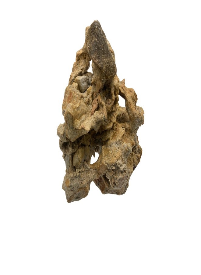 RUKDA® Natural Coral-Shaped Limestone Rock for Aquarium & Terrarium | pH Buffering Calcium Carbonate Stone | Ideal for Cichlids, Clownfish, Gobies & Reef Aquascape (Medium) - Image 2