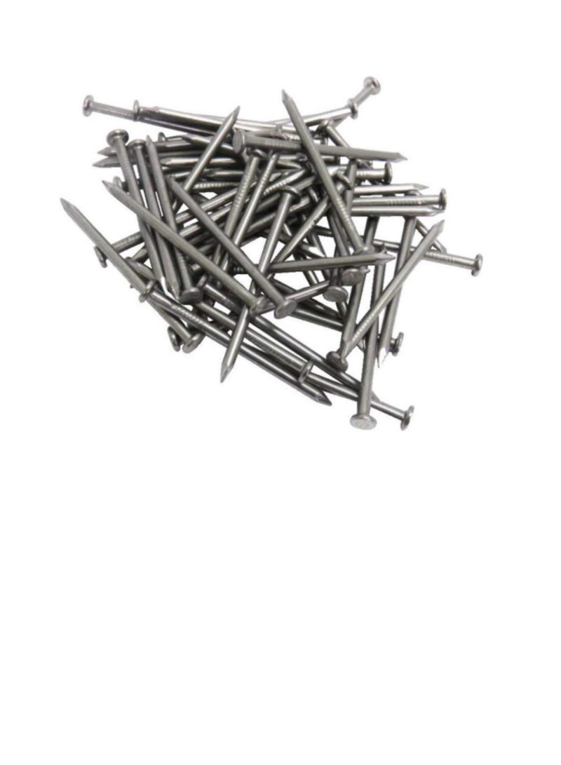 High Strength Round Head Nails For Carpentry Hardware Electrical Etc (100, 6 inch) - Image 1