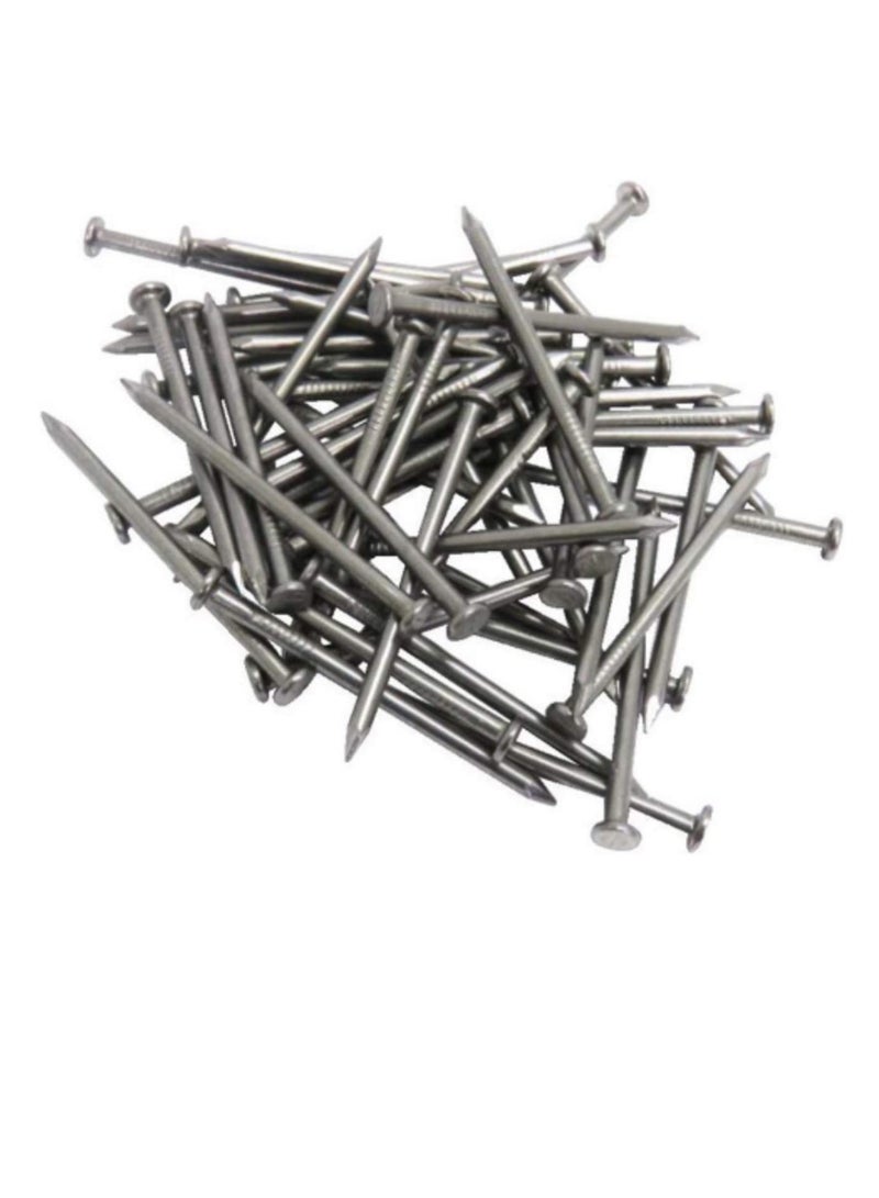 High Strength Round Head Nails For Carpentry Hardware Electrical Etc (100, 6 inch) - Image 3