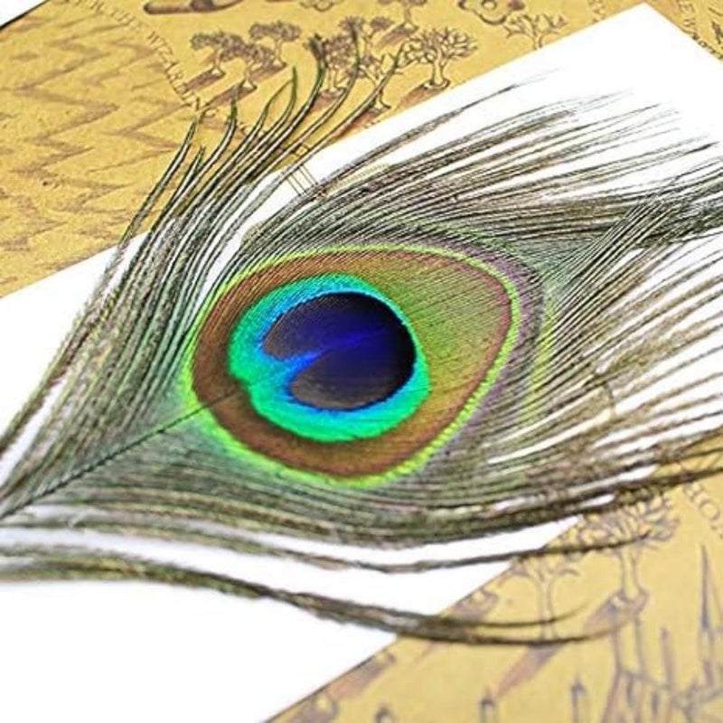 SKY-TOUCH Peacock Feather Pen Set: Nice Quill Pen With Metal Pen Handle Cool Calligraphy Pens With Nib Holder Dip Pen For Journaling Gift Desk Decor - Image 4