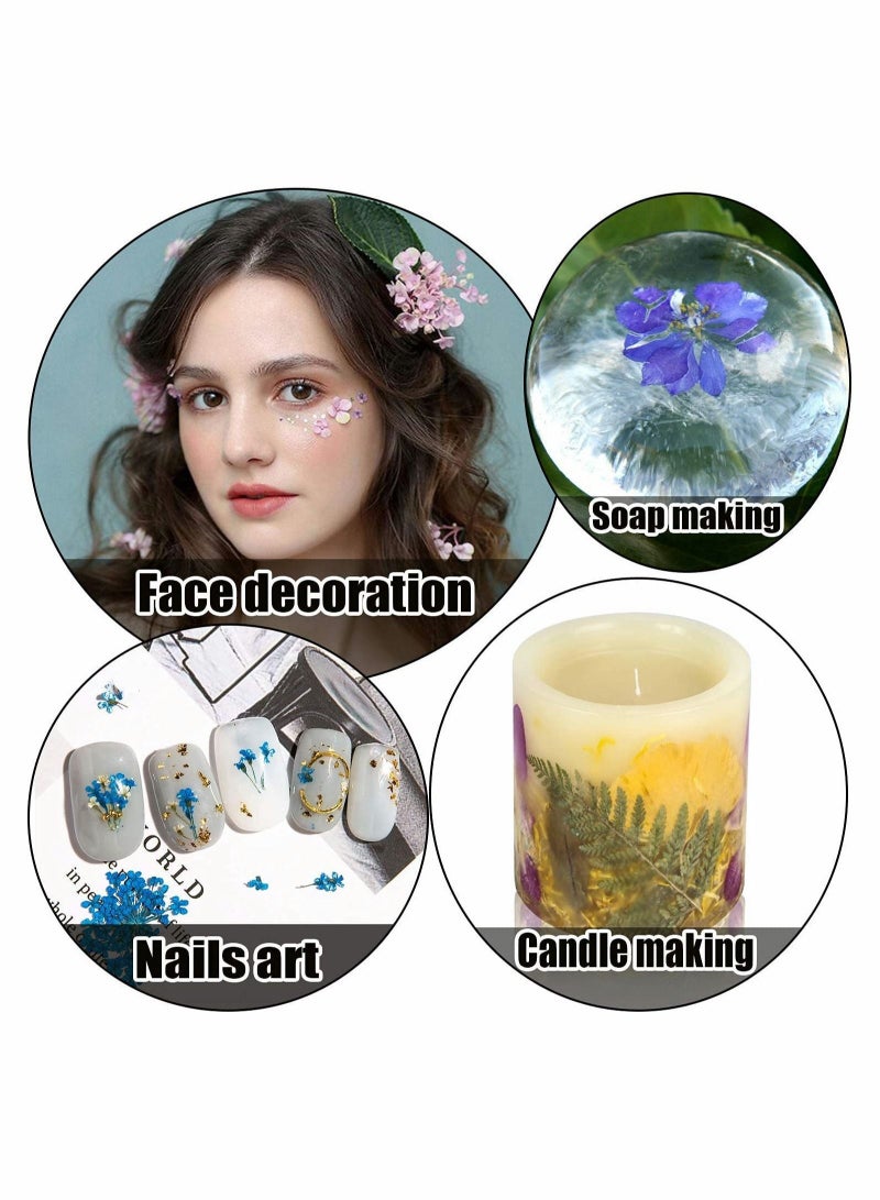 Captaintech Dried Pressed Flowers for Resin, 100Pcs Real Pressed Flowers Dry Leaves Bulk Natural Herbs Kit - Image 5
