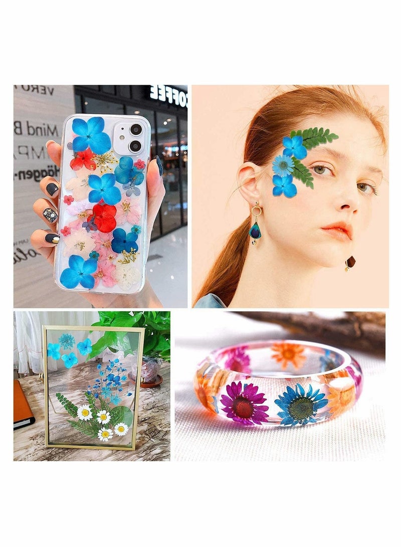 Captaintech Dried Pressed Flowers for Resin, 100Pcs Real Pressed Flowers Dry Leaves Bulk Natural Herbs Kit - Image 2