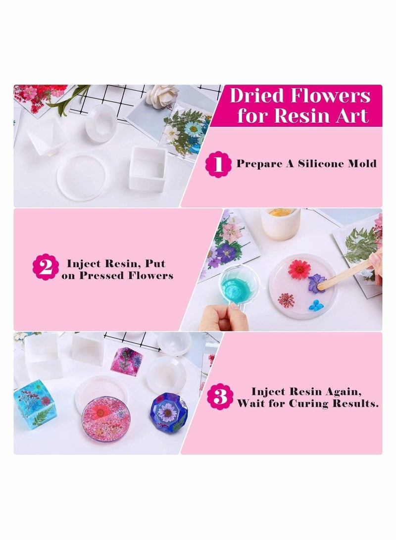 Captaintech Dried Pressed Flowers for Resin, 100Pcs Real Pressed Flowers Dry Leaves Bulk Natural Herbs Kit - Image 4