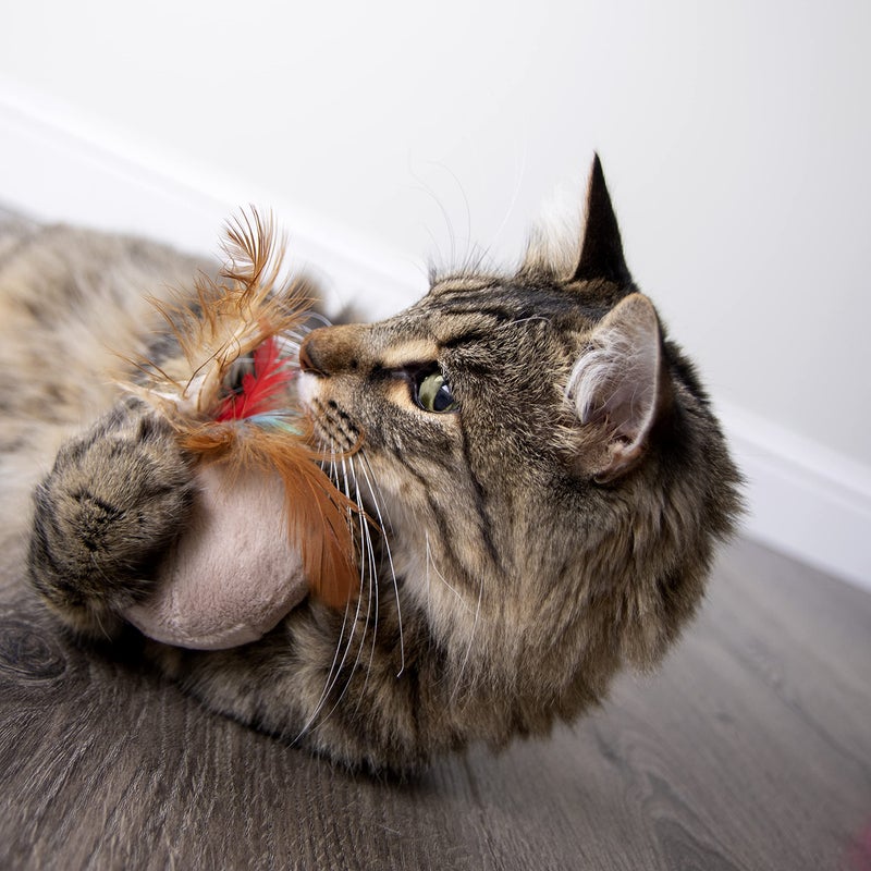 SmartyKat Chit Chatter Electronic Sound Cat Toy, Battery Powered - Randomly Selected Color, One Size - Image 5