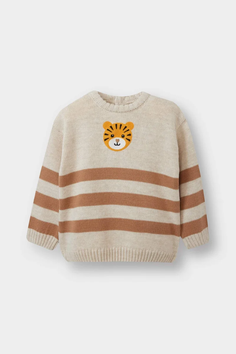 ديفاكتو Baby Boy Regular Fit Pullover