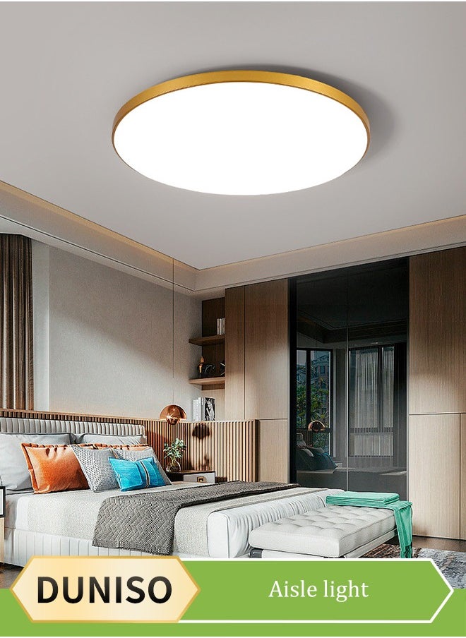 DUNISO LED ceiling light, waterproof PP plastic corridor light, modern ceiling light, dustproof, moisture proof, insect proof, 6500K, 24W, suitable for corridors, living rooms, bedrooms, kitchens,gold  - Image 1